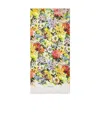 Dolce & Gabbana Printed Scarf In Multicolor