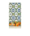 Dolce & Gabbana Printed Scarf In Nude
