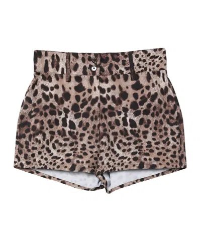 Dolce & Gabbana Printed Shorts In Brown