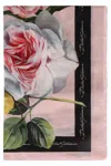 Dolce & Gabbana Printed Silk Scarf In Pink