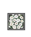 Dolce & Gabbana Black Scarf In Pure Silk With Floral Print In White