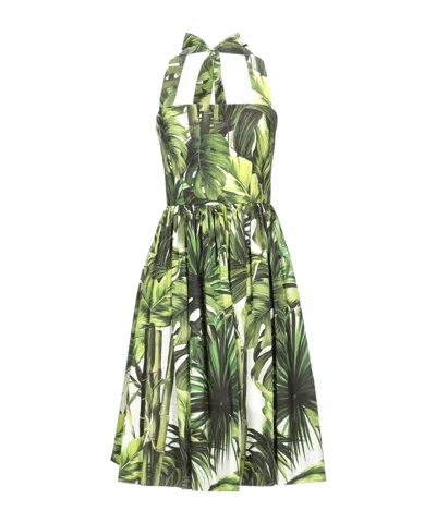 Dolce & Gabbana Printed Sleeveless Dress In Green
