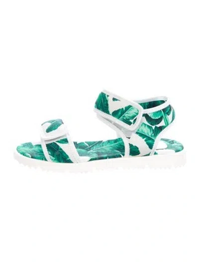 Pre-owned Dolce & Gabbana Printed Slides In Green