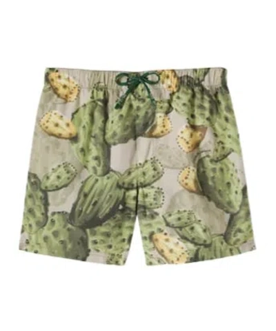 Dolce & Gabbana Kids' Printed Swim Trunks In Green