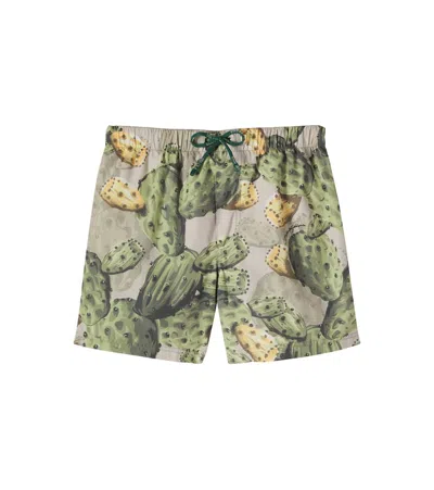 Dolce & Gabbana Kids' Printed Swim Trunks In Multi