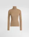 Dolce & Gabbana Pullover Dolcevita In Lana In Brown