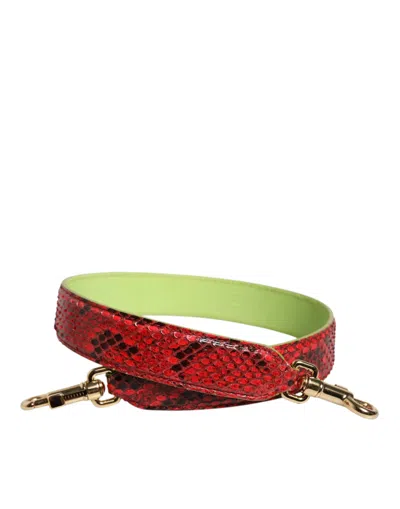 Dolce & Gabbana Python And Calf Leather Shoulder Strap In Red