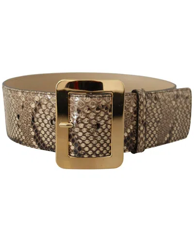 Dolce & Gabbana Python & Leather Belt In Neutral