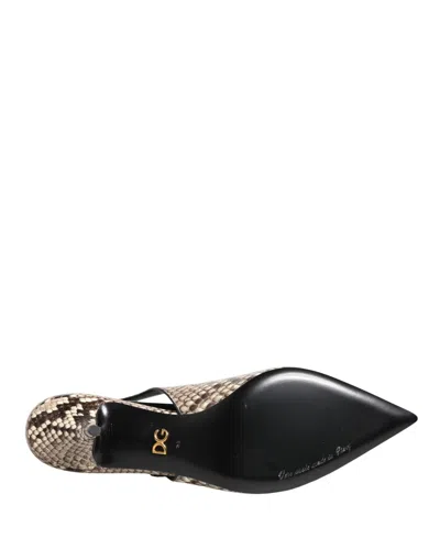 Dolce & Gabbana Python And Leather Slingback Heel In Black