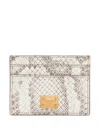 Dolce & Gabbana Python Card Holder In White