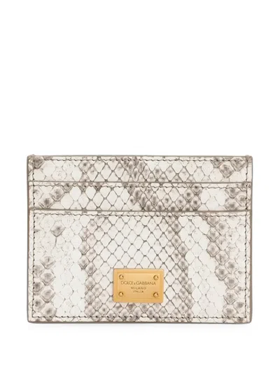 Dolce & Gabbana Python Card Holder In White