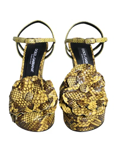 Dolce & Gabbana Python Leather Ankle Strap Heel Sandal In Yellow