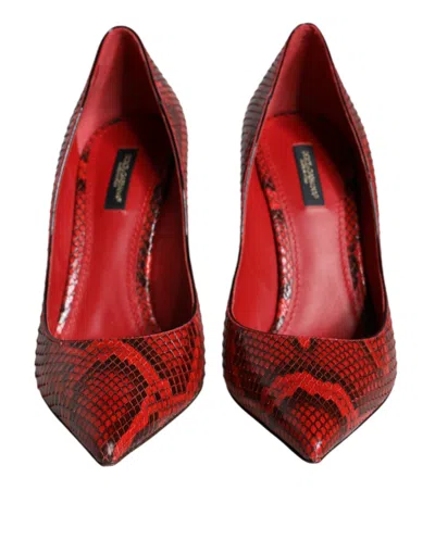 Dolce & Gabbana Python Leather Heel In Red