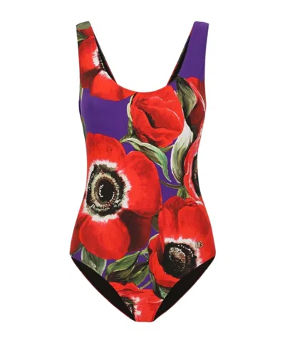 Dolce & Gabbana Flower Power Olympic One-piece Swimsuit In Anemone Viola