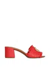 Dolce & Gabbana Raffia Mules In Multi