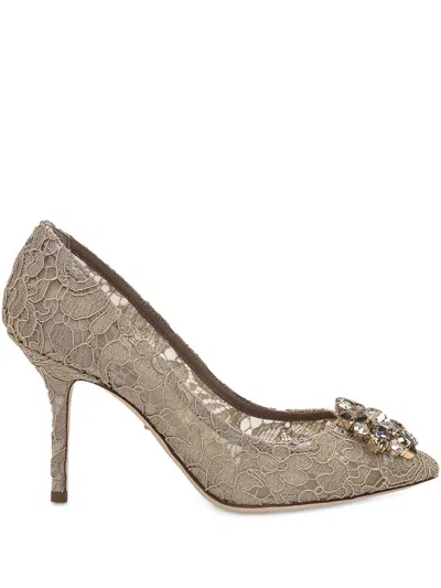 Dolce & Gabbana Rainbow Lace Pumps In Brown