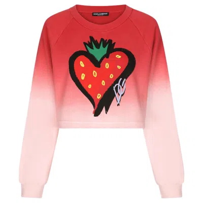 Dolce & Gabbana Red Cotton Sweater In Gray