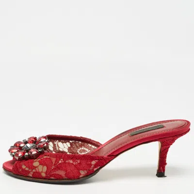 Pre-owned Dolce & Gabbana Red Mesh And Lace Bianca Sandals Size 38