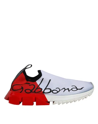 Dolce & Gabbana Sneakers In Red