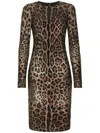 Dolce & Gabbana Rhinestone-embellished Leopard-print Midi Dress In Brown