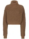 Dolce & Gabbana Roll-neck Cropped Jumper In Brown