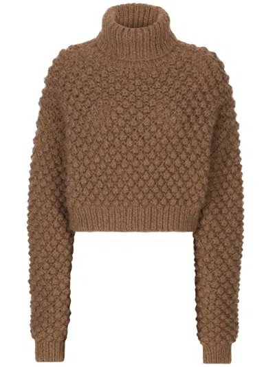 Dolce & Gabbana Roll-neck Cropped Jumper In Brown