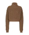 Dolce & Gabbana Roll-neck Cropped Jumper In Brown