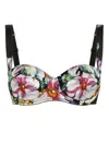 Dolce & Gabbana Rose Garden-print Bra In Black