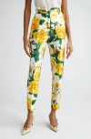 Dolce & Gabbana Floral High-rise Cotton Cropped Pants In Rose Gialle