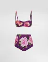 Dolce & Gabbana Rose-print Balconette Bikini Top And High-waisted Bottoms In Print