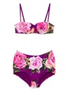 Dolce & Gabbana Rose-print Balconette Bikini Top And High-waisted Bottoms In Purple