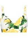Dolce & Gabbana Rose-print Cotton Crop Top In White