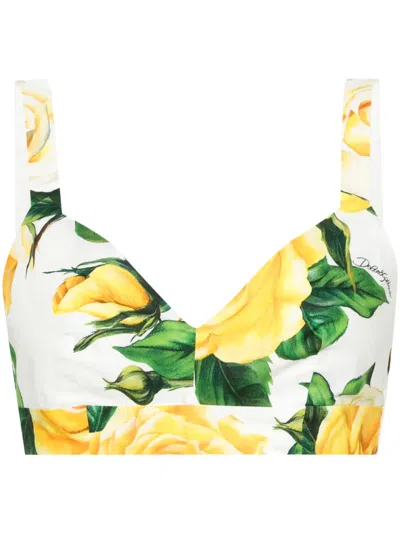 Dolce & Gabbana Rose-print Cotton Crop Top In White