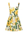 Dolce & Gabbana Rose Print Pleated Poplin Mini Dress In Multicolor