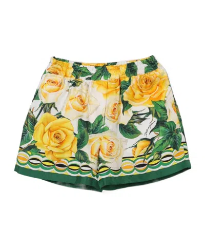 Dolce & Gabbana Rose-print Cotton Shorts In Green
