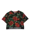 Dolce & Gabbana Rose-print Cropped T-shirt In Black
