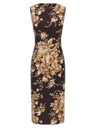 Dolce & Gabbana Rose Print Dress In Multi