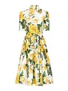 Dolce & Gabbana Cotton Shirt Dress With Yellow Rose Print In Multicolour
