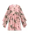 Dolce & Gabbana Silk Chiffon Floral Dress In Pink