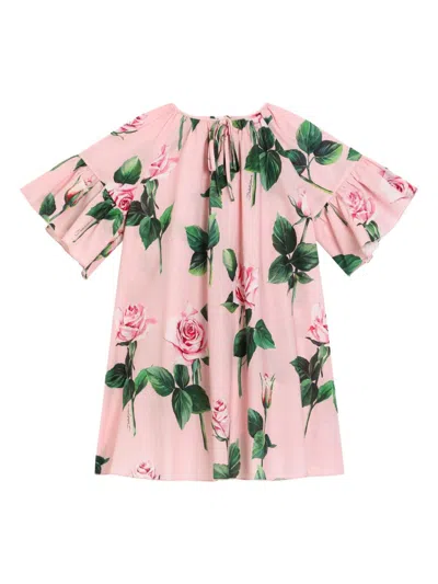 Dolce & Gabbana Kids' Rose-print Dress In Pink