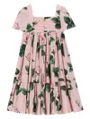Dolce & Gabbana Rose-print Dress In Pink
