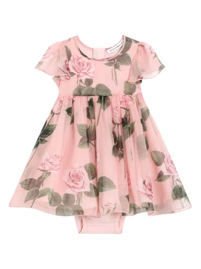 Dolce & Gabbana Babies' Rose-print Dress In Pink