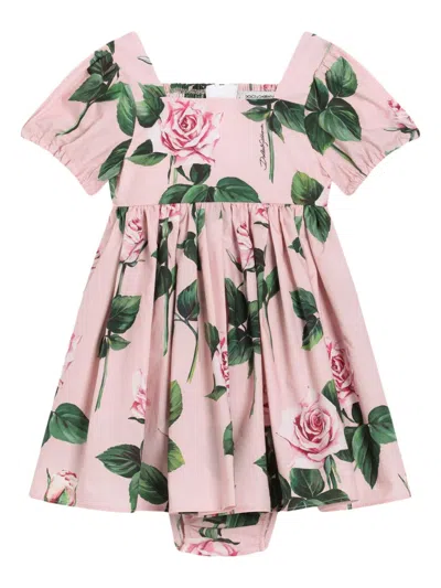 Dolce & Gabbana Babies' Rose-print Dress In Pink
