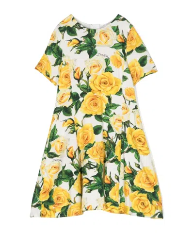 Dolce & Gabbana Rose-print Flared Dress In White
