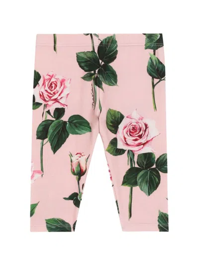 Dolce & Gabbana Babies' Rose-print Leggings In Pink