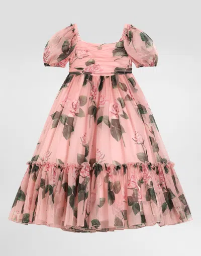 Dolce & Gabbana Rose-print Organza Dress