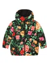 Dolce & Gabbana Rose-print Padded Hooded Jacket In Black