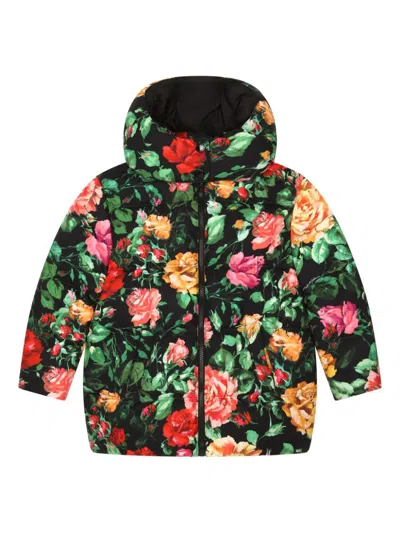 Dolce & Gabbana Kids' Rose-print Padded Hooded Jacket In Black