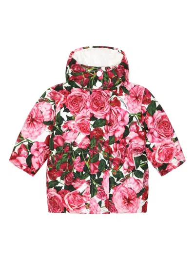 Dolce & Gabbana Babies' Rose-print Padded Jacket In Pink