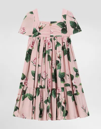Dolce & Gabbana Rose-print Poplin Dress